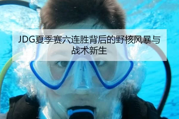 JDG夏季赛六连胜背后的野核风暴与战术新生